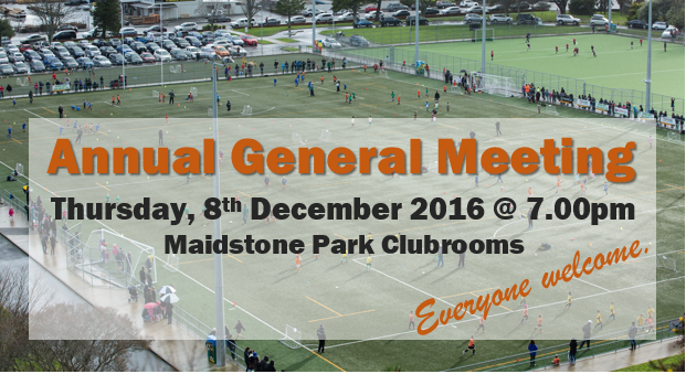 Read more about the article AGM, 8 December 2016