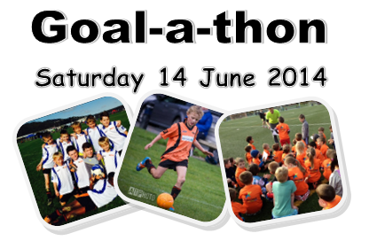 You are currently viewing Goal-a-thon: 14 June 2014