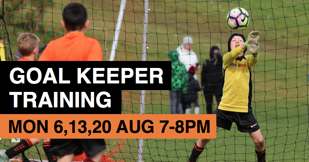 You are currently viewing Goalkeeper training August 2018